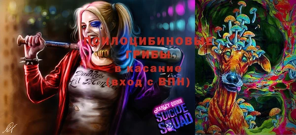дурь Алексин