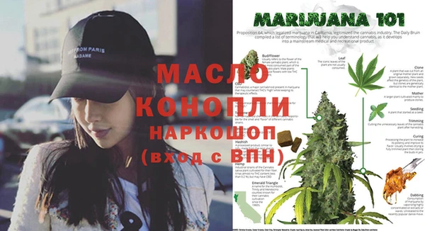 хмурый Алзамай
