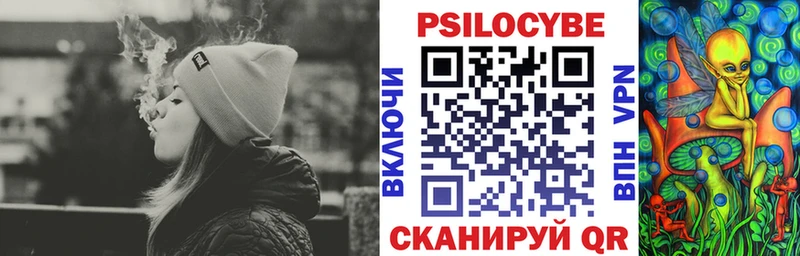 кракен   Полысаево  Псилоцибиновые грибы Psilocybine cubensis 
